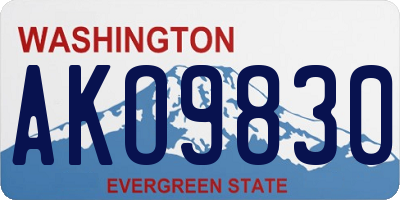 WA license plate AKO9830