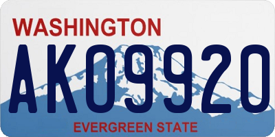 WA license plate AKO9920