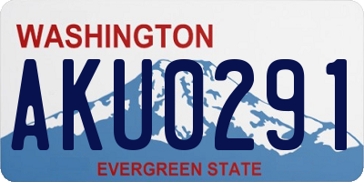 WA license plate AKU0291