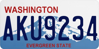 WA license plate AKU9234