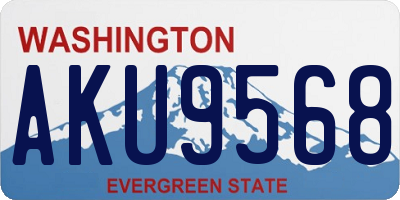 WA license plate AKU9568