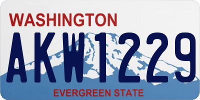 WA license plate AKW1229