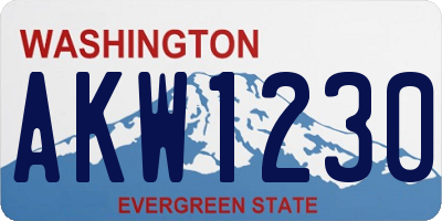 WA license plate AKW1230