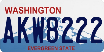 WA license plate AKW8222