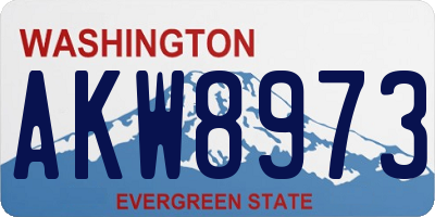 WA license plate AKW8973