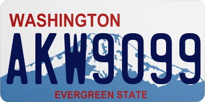 WA license plate AKW9099
