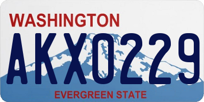 WA license plate AKX0229