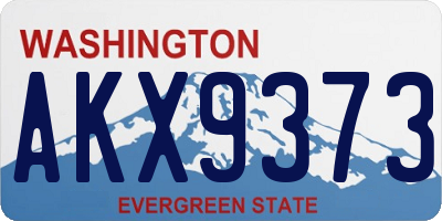 WA license plate AKX9373