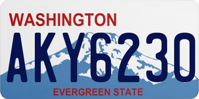 WA license plate AKY6230