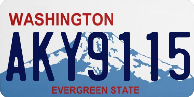 WA license plate AKY9115