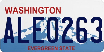 WA license plate ALE0263