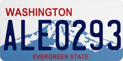 WA license plate ALE0293