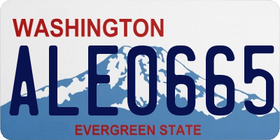 WA license plate ALE0665