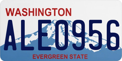 WA license plate ALE0956