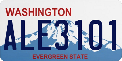 WA license plate ALE3101