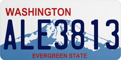 WA license plate ALE3813