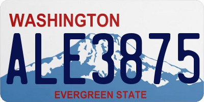WA license plate ALE3875