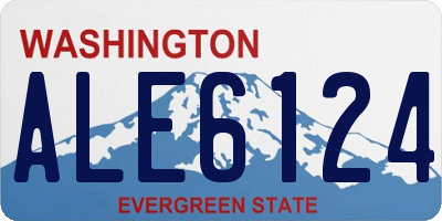 WA license plate ALE6124
