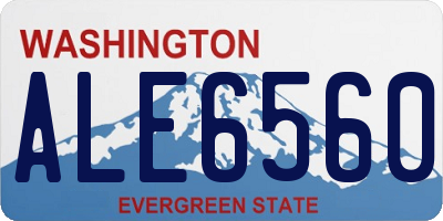 WA license plate ALE6560