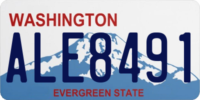 WA license plate ALE8491