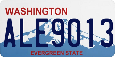 WA license plate ALE9013