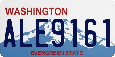 WA license plate ALE9161