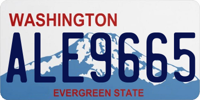 WA license plate ALE9665