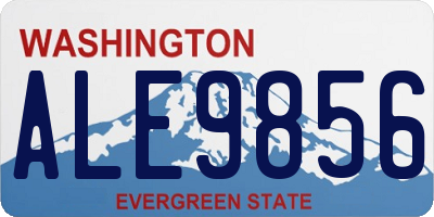 WA license plate ALE9856