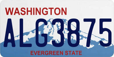 WA license plate ALG3875