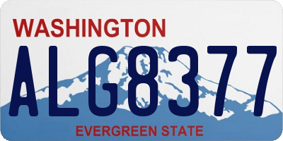 WA license plate ALG8377