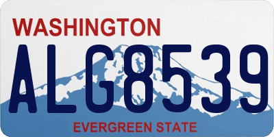 WA license plate ALG8539
