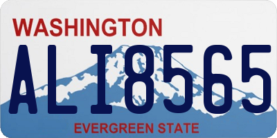 WA license plate ALI8565