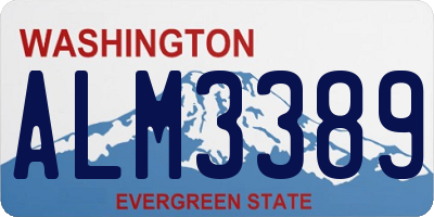 WA license plate ALM3389