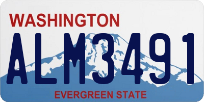 WA license plate ALM3491