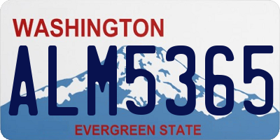 WA license plate ALM5365