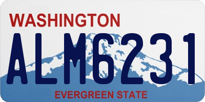WA license plate ALM6231