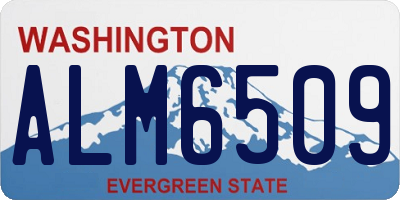WA license plate ALM6509