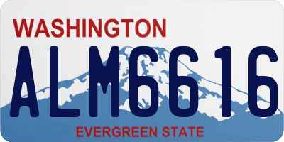 WA license plate ALM6616