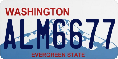 WA license plate ALM6677
