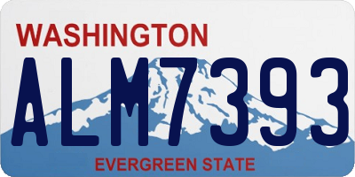 WA license plate ALM7393