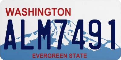 WA license plate ALM7491