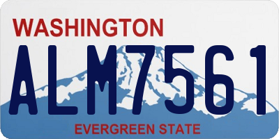 WA license plate ALM7561