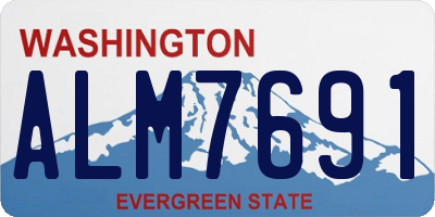 WA license plate ALM7691