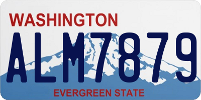 WA license plate ALM7879