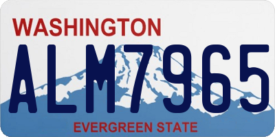 WA license plate ALM7965