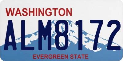 WA license plate ALM8172
