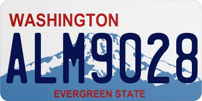 WA license plate ALM9028