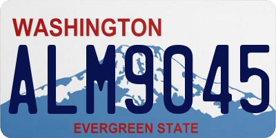 WA license plate ALM9045