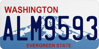 WA license plate ALM9593