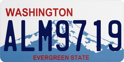 WA license plate ALM9719